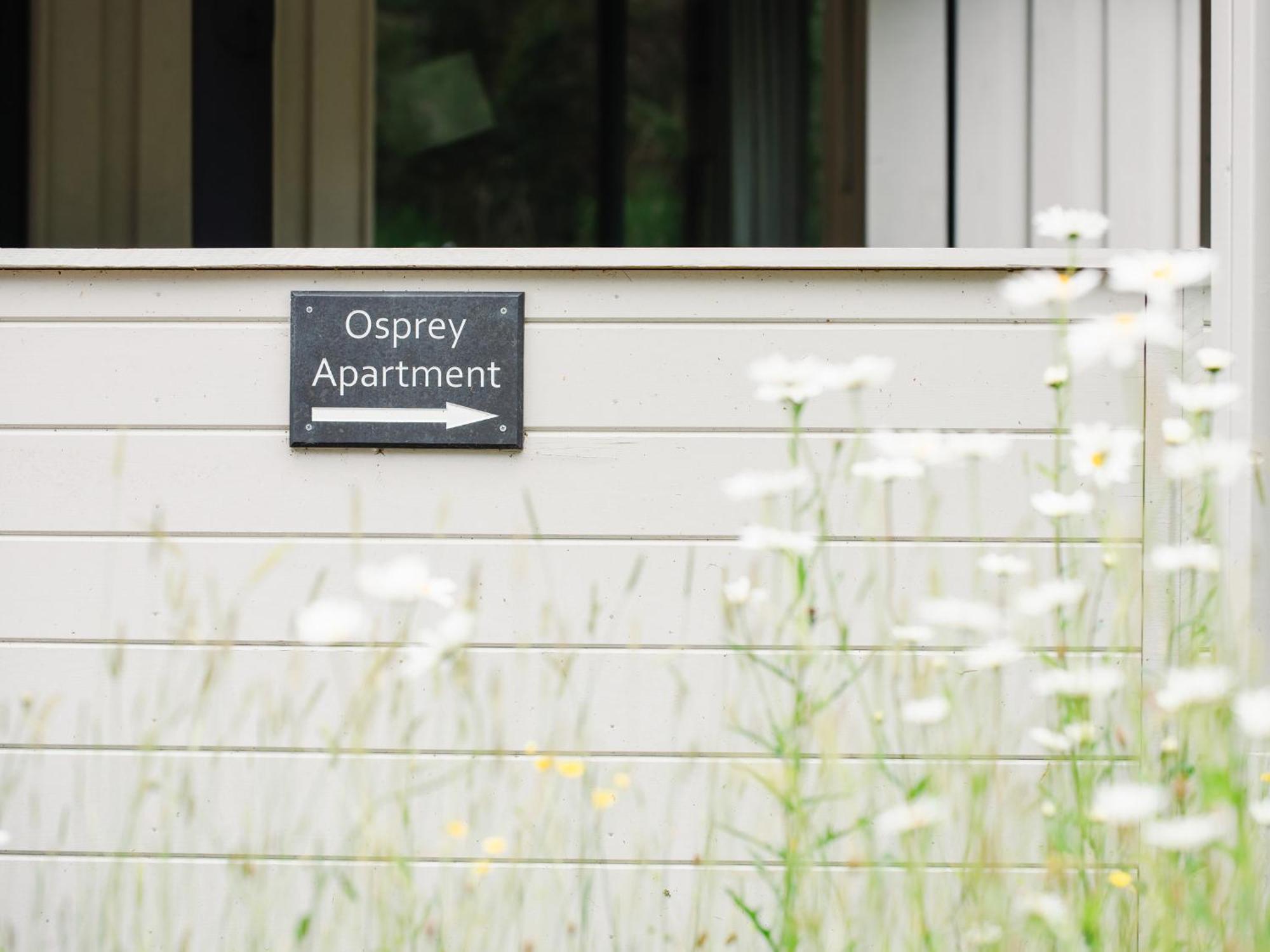 Osprey Apartment 金尤西 外观 照片